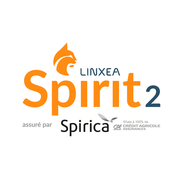 Logo Linxea Spirit 2